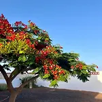 Hébergement de vacances Casa Drago *