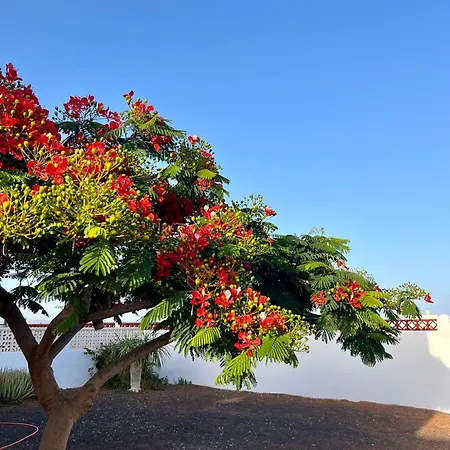Prázdninový dům Casa Drago: En El Centro De Fuerteventura *