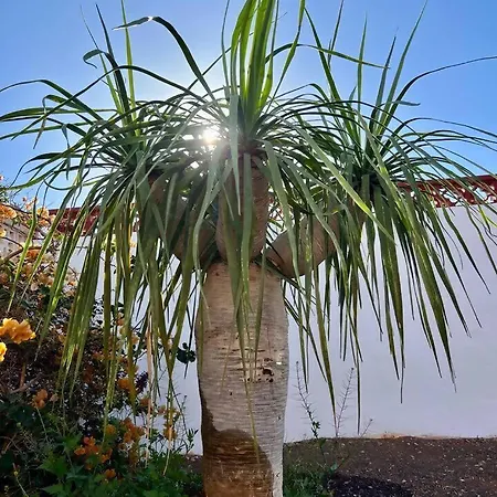 Casa Drago: En El Centro De Fuerteventura Prázdninový dům
