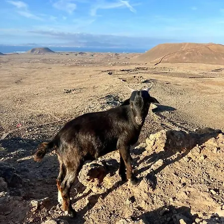 Casa Drago: En El Centro De Fuerteventura Prázdninový dům *